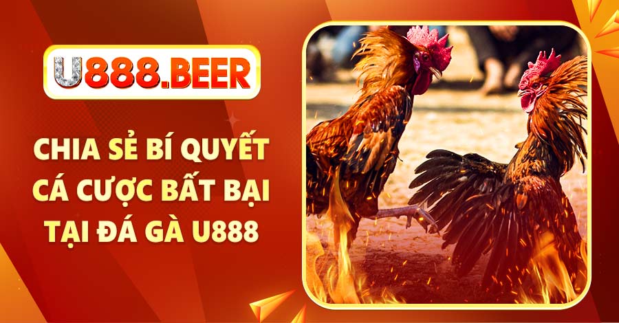 Chia sẻ bí quyết cá cược bất bại tại sảnh đá gà U888