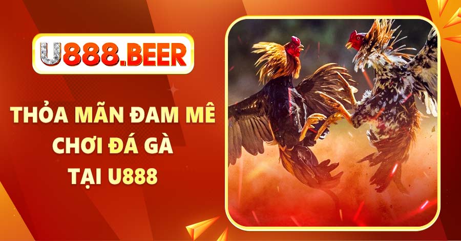 Thỏa mãn đam mê chơi đá gà tại U888